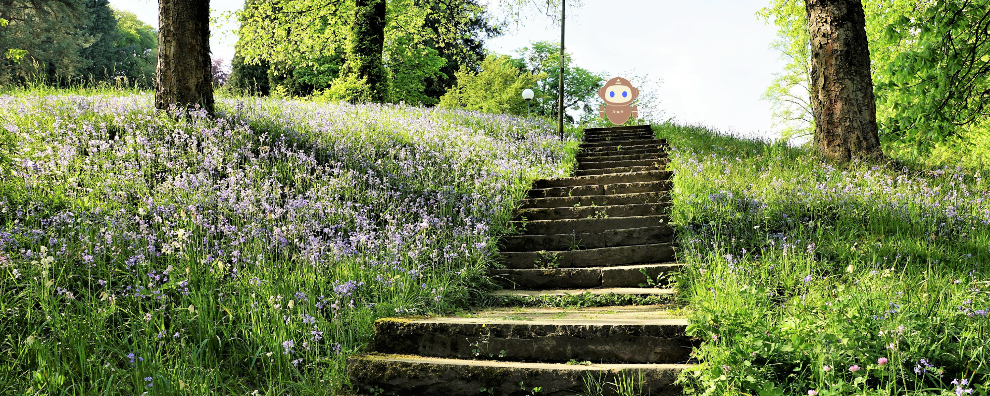 Step by Step Progress